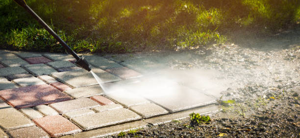 Best Vinyl Siding Pressure Washing in Montgomery Village, MD